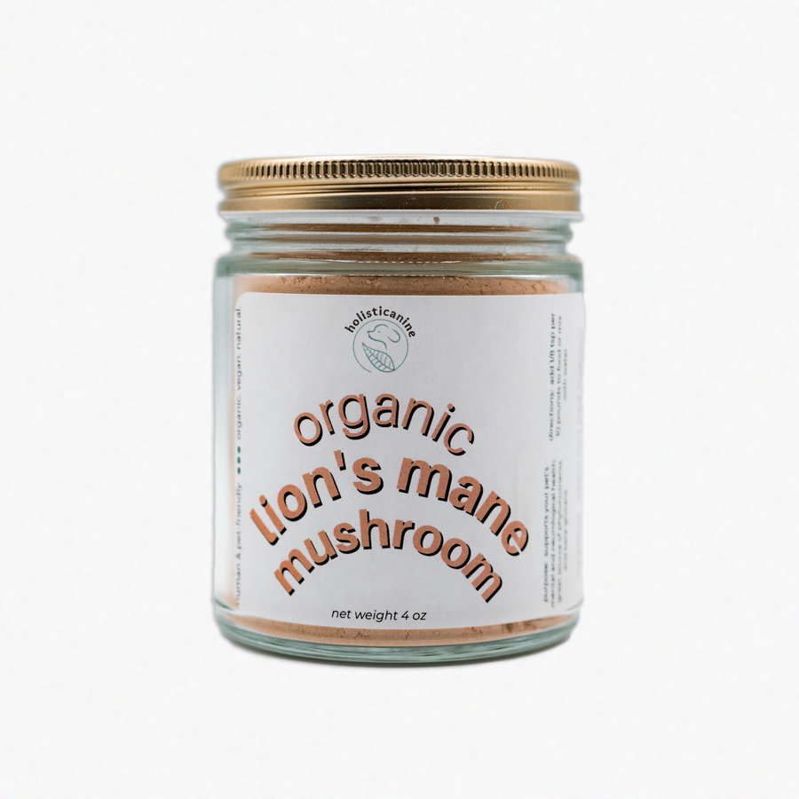 Organic Lion's Mane Mushroom | Neurological and Immune Support Supplement