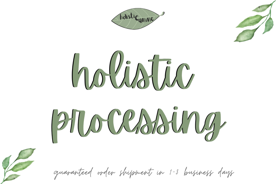 holistic processing